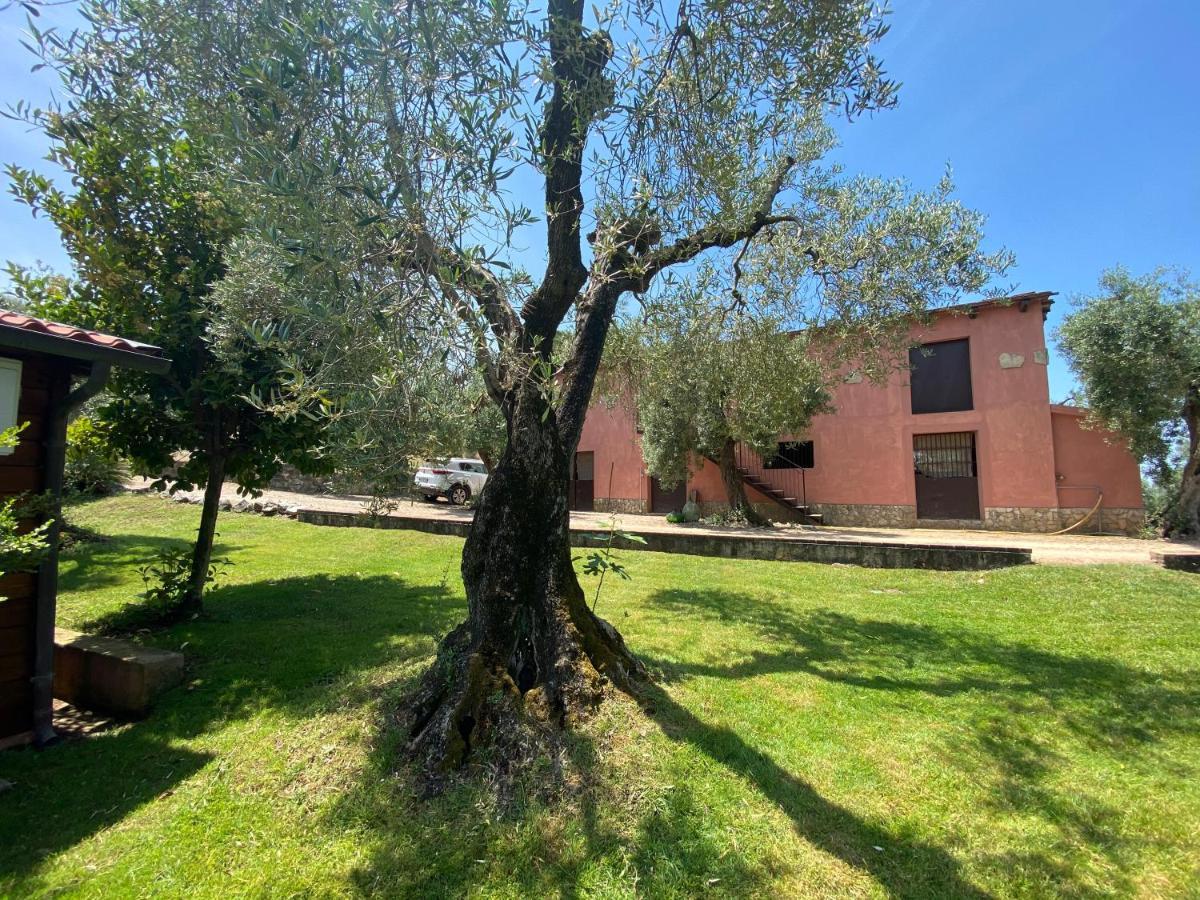 I Giardini Di Margius Villa Itri Eksteriør billede